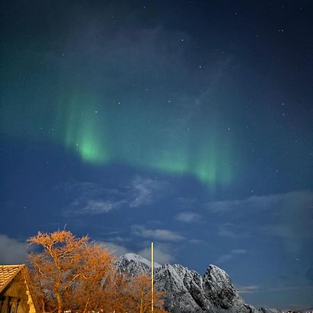 Hovesbua Rorbu - Fisherman Cabin Villa Sørvågen Exteriör bild